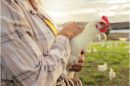 Picture of farmer holding a chicken