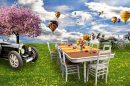 picnic in spring time