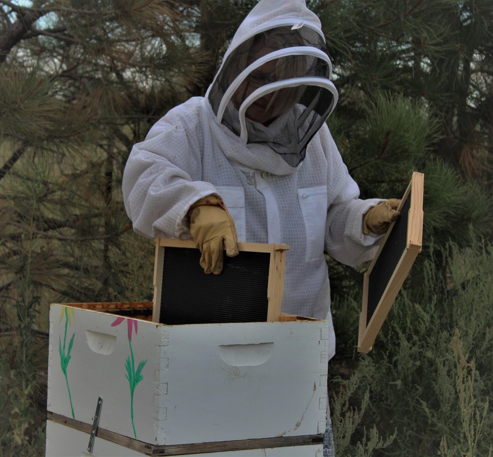 Prairie Life bees April 2023