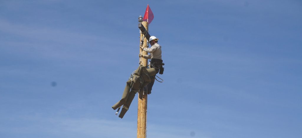 Pole top rescue