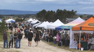 The annual Black Forest Festival