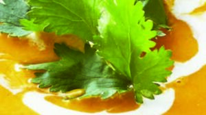 A bowl of soup with sour cream and cilantro.