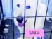 A white dog in a cage with the word sasha written on it.