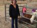 A woman standing next to a group of alpacas in a pen