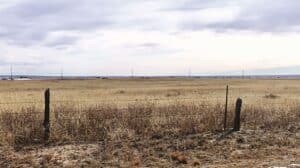 A grassy field with a fence in the background