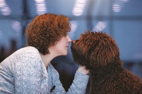 A person and a brown dog facing each other, their noses touching in a moment of affection.