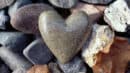 Heart-shaped stone among various pebbles and autumn leaves.