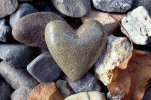Heart-shaped stone among various pebbles and autumn leaves.