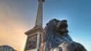 A view of Nelson's Column with a bronze lion sculpture in the foreground, located in Trafalgar Square, London, under a clear sky.