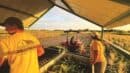 People wearing Smith Farms attire collect harvested corn in a covered area, while a person operates a red tractor in the nearby field under a setting sun.