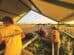 People wearing Smith Farms attire collect harvested corn in a covered area, while a person operates a red tractor in the nearby field under a setting sun.