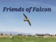 A falcon flies over a green landscape with mountains in the background and buildings in the distance. The text "Friends of Falcon" appears at the top.