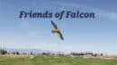 A falcon flies over a green landscape with mountains in the background and buildings in the distance. The text "Friends of Falcon" appears at the top.