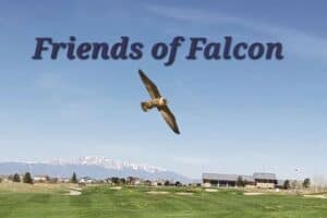 A falcon flies over a green landscape with mountains in the background and buildings in the distance. The text "Friends of Falcon" appears at the top.