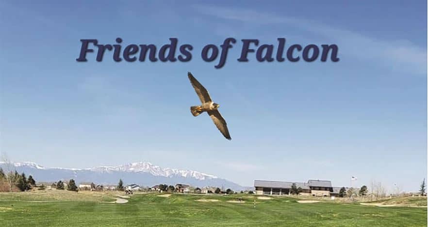 A falcon flies over a green landscape with mountains in the background and buildings in the distance. The text "Friends of Falcon" appears at the top.