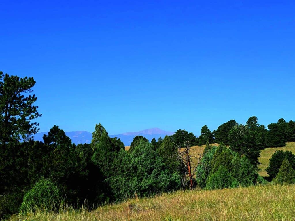 A landscape of green trees under a clear blue sky with mountains visible in the distance.