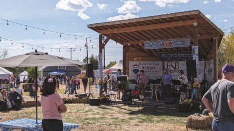 Outdoor music festival with a band performing on a stage. People are sitting and standing under string lights and a large umbrella. Bales of hay are scattered around the area.