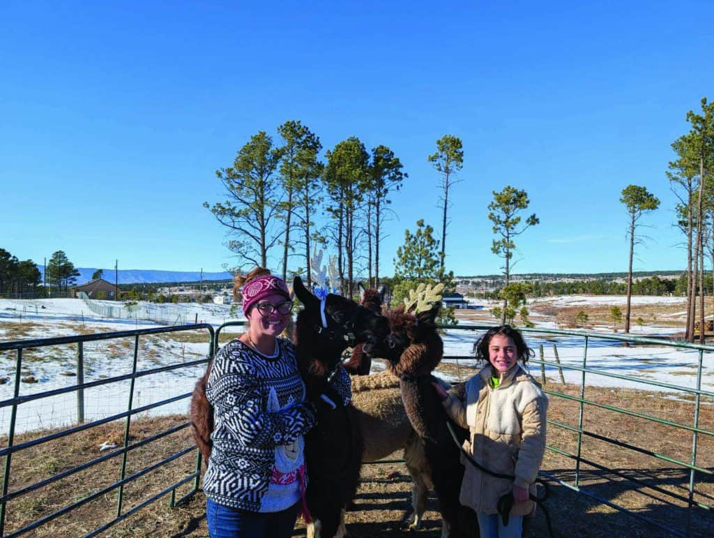 Two people standing with alpacas in an outdoor enclosure, surrounded by trees and snow. One alpaca is wearing reindeer antlers.