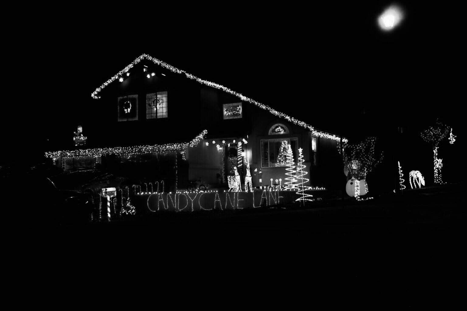 Dane R Balcone Meridian Ranch Christmas Lights Competition - The New Falcon Herald