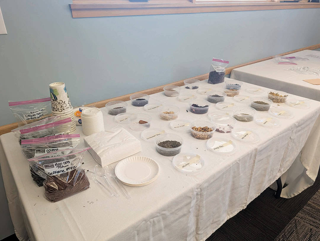 A table with assorted seeds in labeled plastic bags and bowls, alongside paper plates, cups, and plastic utensils, set against a light blue wall.