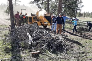 Several people operate and assist with a wood chipper as it processes a large pile of branches in a forested area on a sunny day.