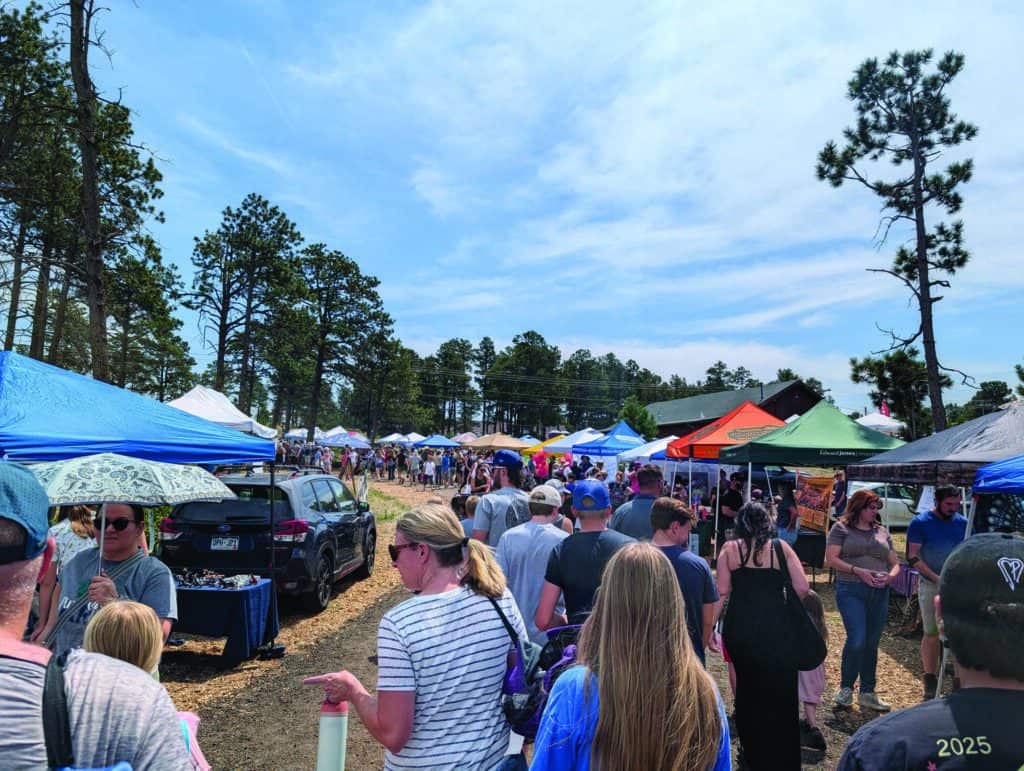 A crowd of people walking between rows of vendor tents at an outdoor festival under a blue sky with tall trees in the background.