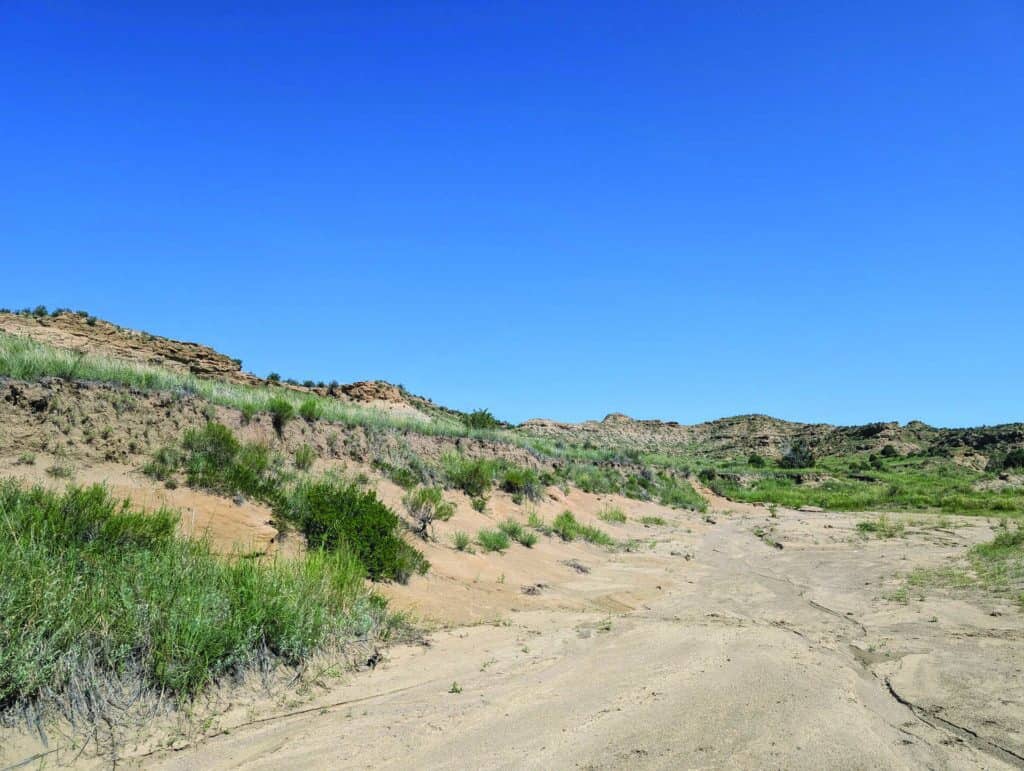 A dry, sandy landscape with sparse green vegetation, low hills in the background, and a clear blue sky overhead.