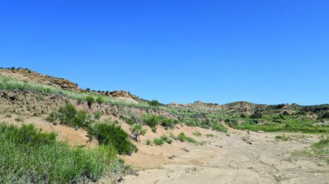 A dry, sandy landscape with sparse green vegetation, low hills in the background, and a clear blue sky overhead.