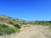 A dry, sandy landscape with sparse green vegetation, low hills in the background, and a clear blue sky overhead.