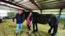 Two people stand next to a large black horse inside a barn with metal walls and a hay-covered floor.
