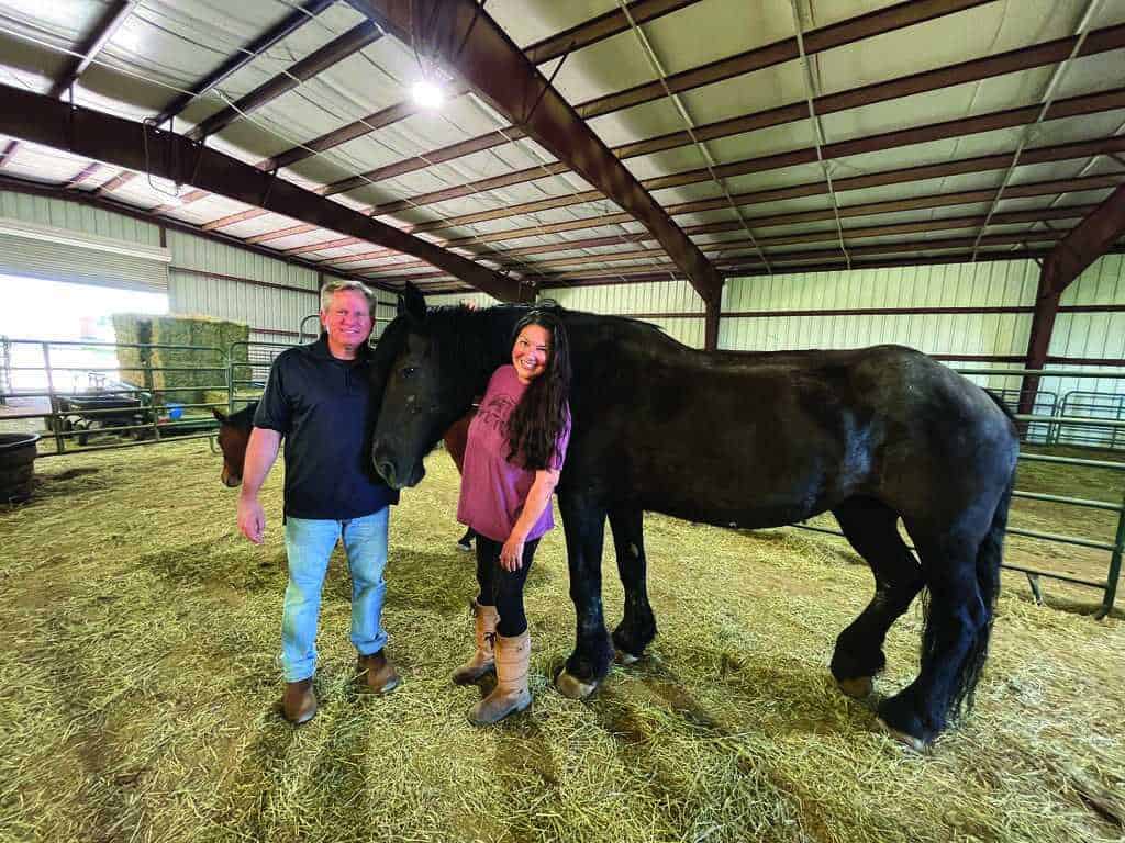 Two people stand next to a large black horse inside a barn with metal walls and a hay-covered floor.