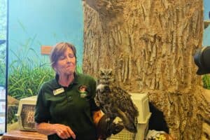 A woman in a green shirt holds a large owl on her gloved hand in front of a tree display and animal carriers indoors.