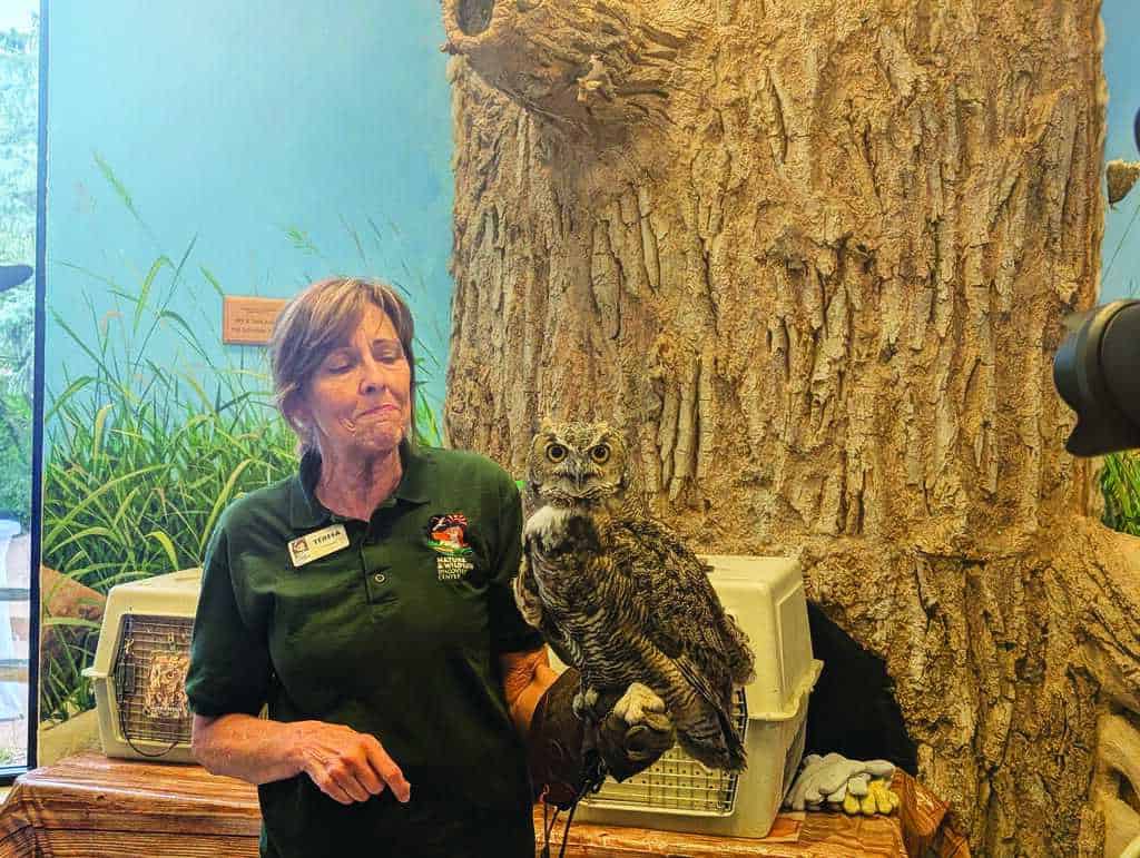 A woman in a green shirt holds a large owl on her gloved hand in front of a tree display and animal carriers indoors.