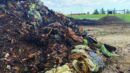 A large pile of decomposing organic waste, including vegetables and plant matter, sits on bare ground under a partly cloudy sky in an outdoor rural area.