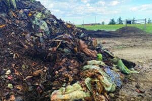 A large pile of decomposing organic waste, including vegetables and plant matter, sits on bare ground under a partly cloudy sky in an outdoor rural area.