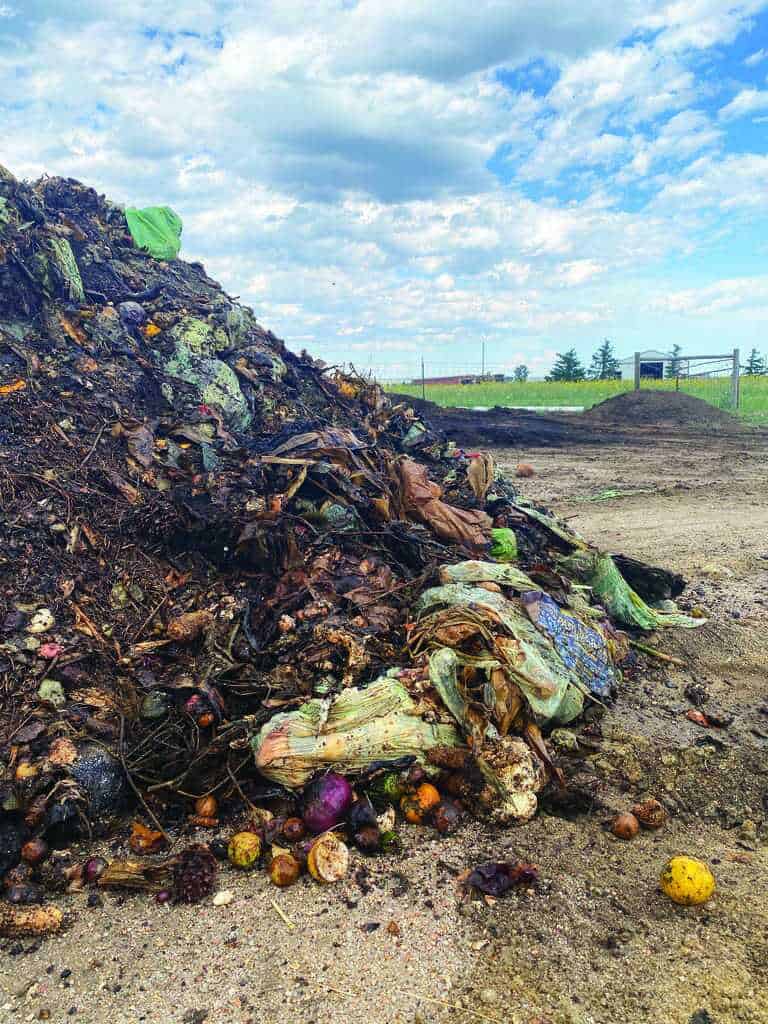 A large pile of decomposing organic waste, including vegetables and plant matter, sits on bare ground under a partly cloudy sky in an outdoor rural area.