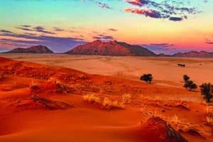 Book cover for "The Desert Shark and The Orcas" by Sami G. Hajjar, featuring a scenic desert landscape with mountains under a colorful sunset sky.