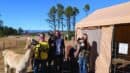 Three people stand outside next to a tan tent, each holding a leash attached to an alpaca on a sunny day with trees and a house in the background.
