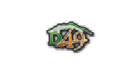 Logo with the text “D49”; the “4” and “9” are orange and overlapped, “D” is green, and a stylized green mountain line is above the text.