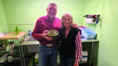 Two adults stand together in a green room near a sink and counter; one is holding a bowl of salad greens, both are smiling at the camera.