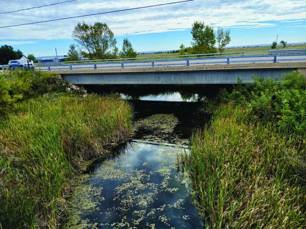 A concrete bridge crosses over a narrow waterway with tall grass and vegetation on both sides; cars are visible on the road above.