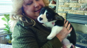 A woman holding a puppy