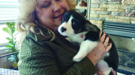 A woman holding a puppy