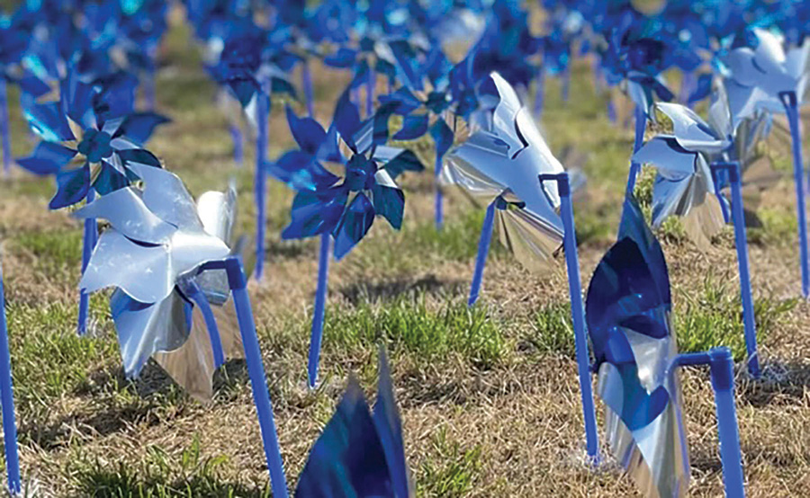 Rows of blue and silver pinwheels are planted in grassy soil, spinning in the wind under natural daylight.