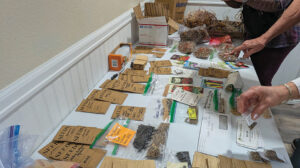 A table displaying various seed packets and bags, some labeled by hand, with several people sorting and exchanging seeds.