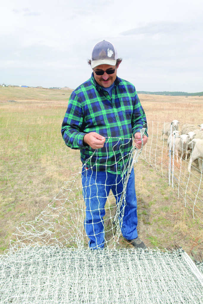A man wearing sunglasses and a cap stands outdoors, holding and inspecting a section of electric netting fence, with sheep visible in the background.