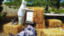 A person in beekeeping protective gear tends to a beehive surrounded by hay bales and beekeeping equipment outdoors near pine trees.