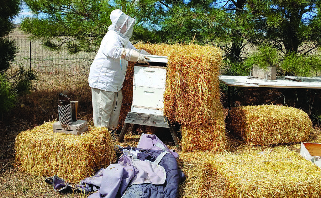 A person in beekeeping protective gear tends to a beehive surrounded by hay bales and beekeeping equipment outdoors near pine trees.