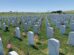 Rows of white headstones with small American flags placed beside them in a military cemetery under a clear blue sky.