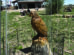 A carved wooden bird statue on a tree stump is enclosed by a small wire fence, with a barn and people sitting in the background on a grassy field.